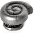 Ammonoid Cabinet Knob