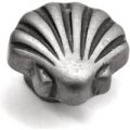 Shell Cabinet Knob